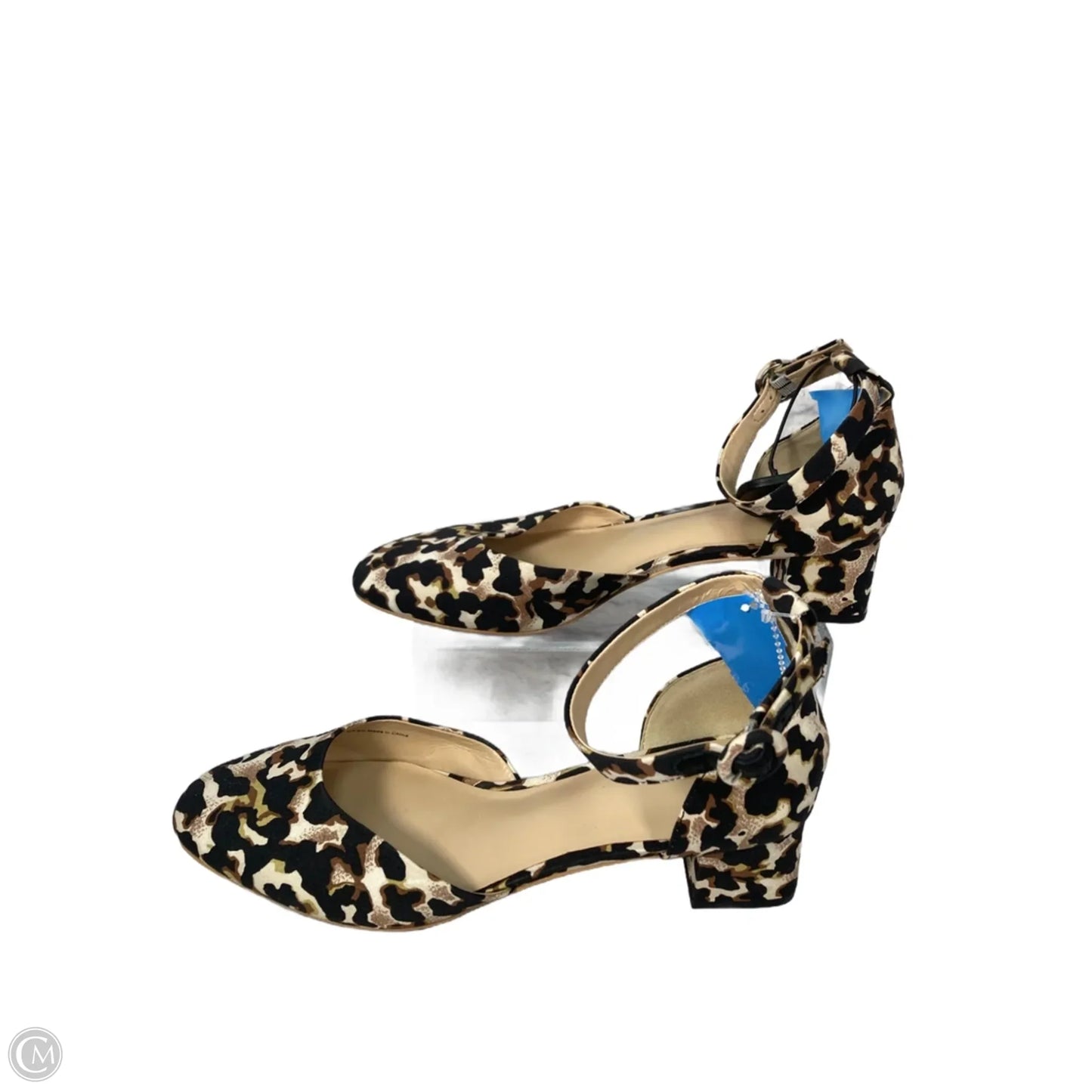 Shoes Heels Kitten By Cabi In Animal Print, Size: 10