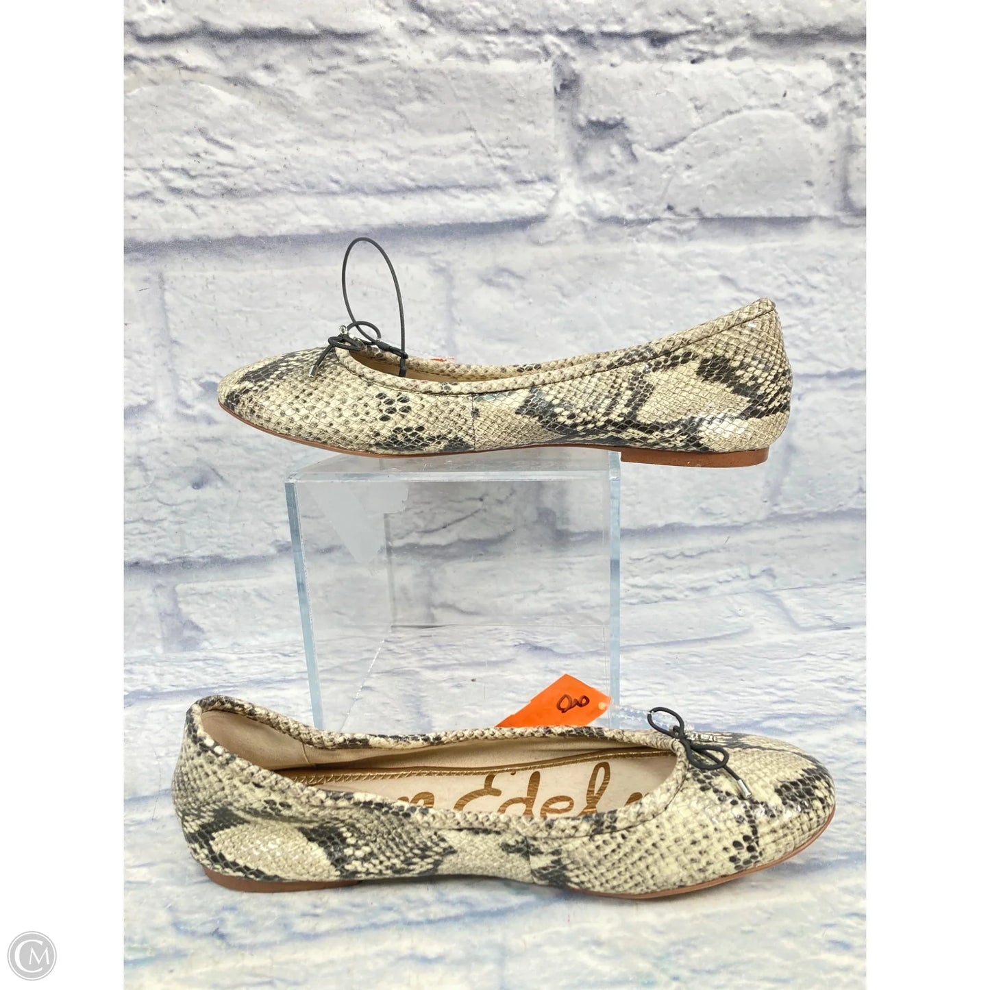 Shoes Flats By Sam Edelman In Snakeskin Print, Size: 10