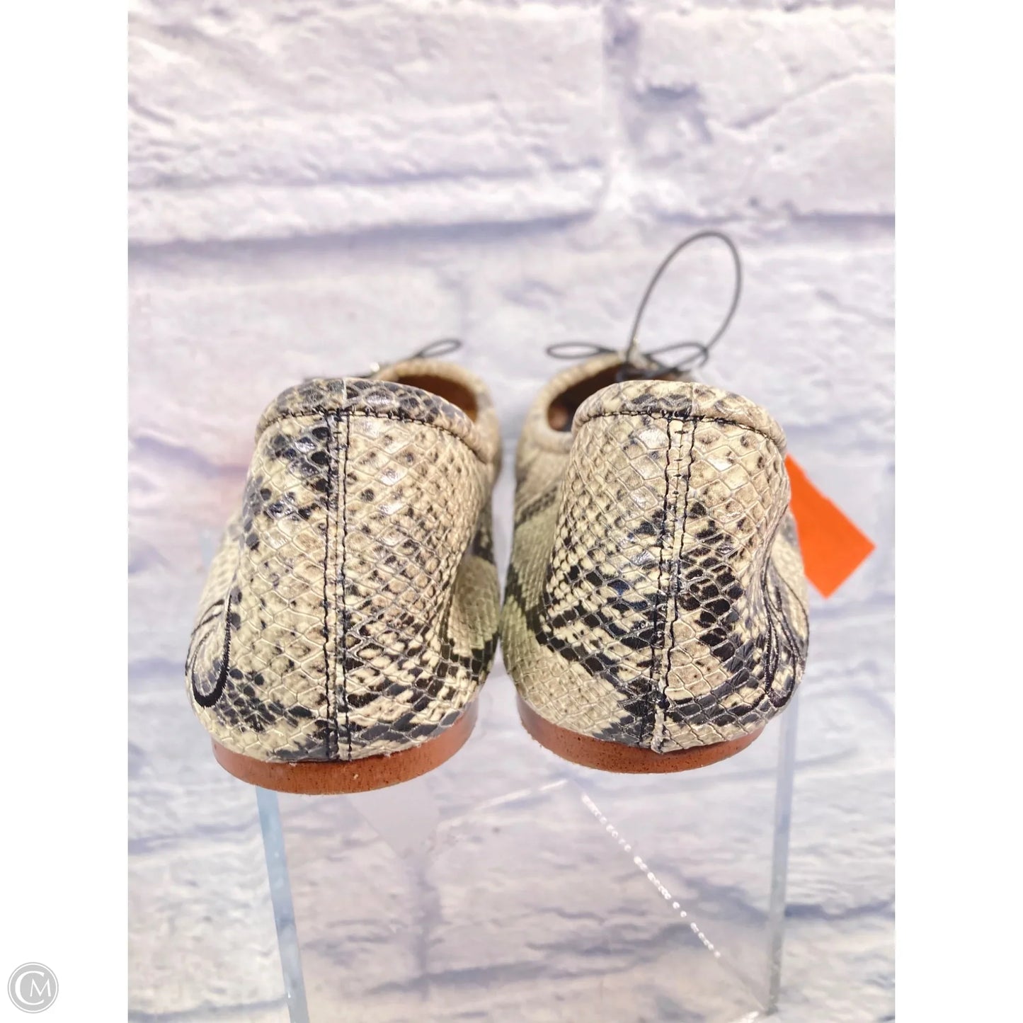 Shoes Flats By Sam Edelman In Snakeskin Print, Size: 10