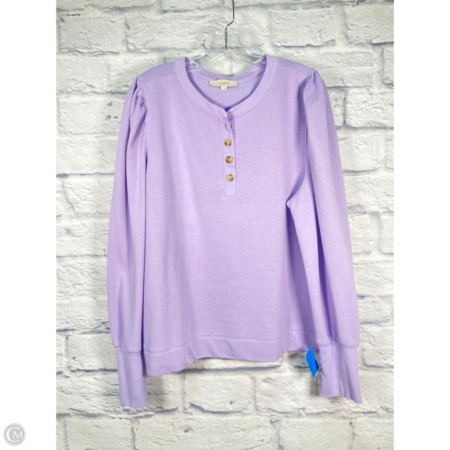 Top Long Sleeve By Loft In Purple, Size: Xl