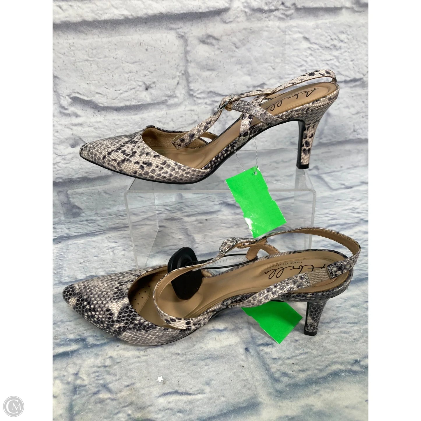 Shoes Heels Kitten By Abella In Snakeskin Print, Size: 9.5