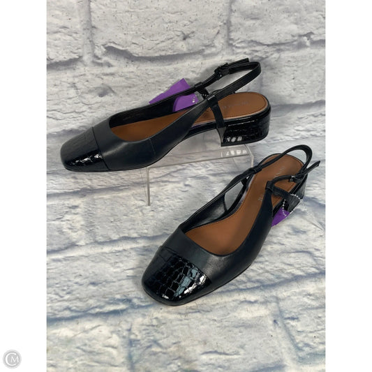 Shoes Flats By Donald Pliner In Black, Size: 8.5