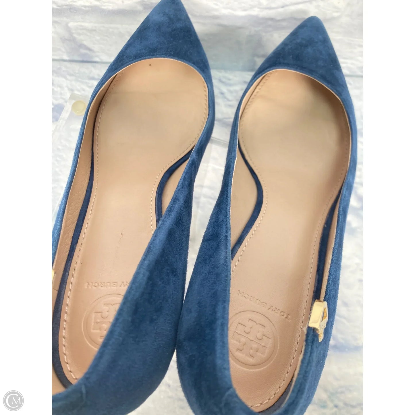 Shoes Designer By Tory Burch In Blue, Size: 9.5
