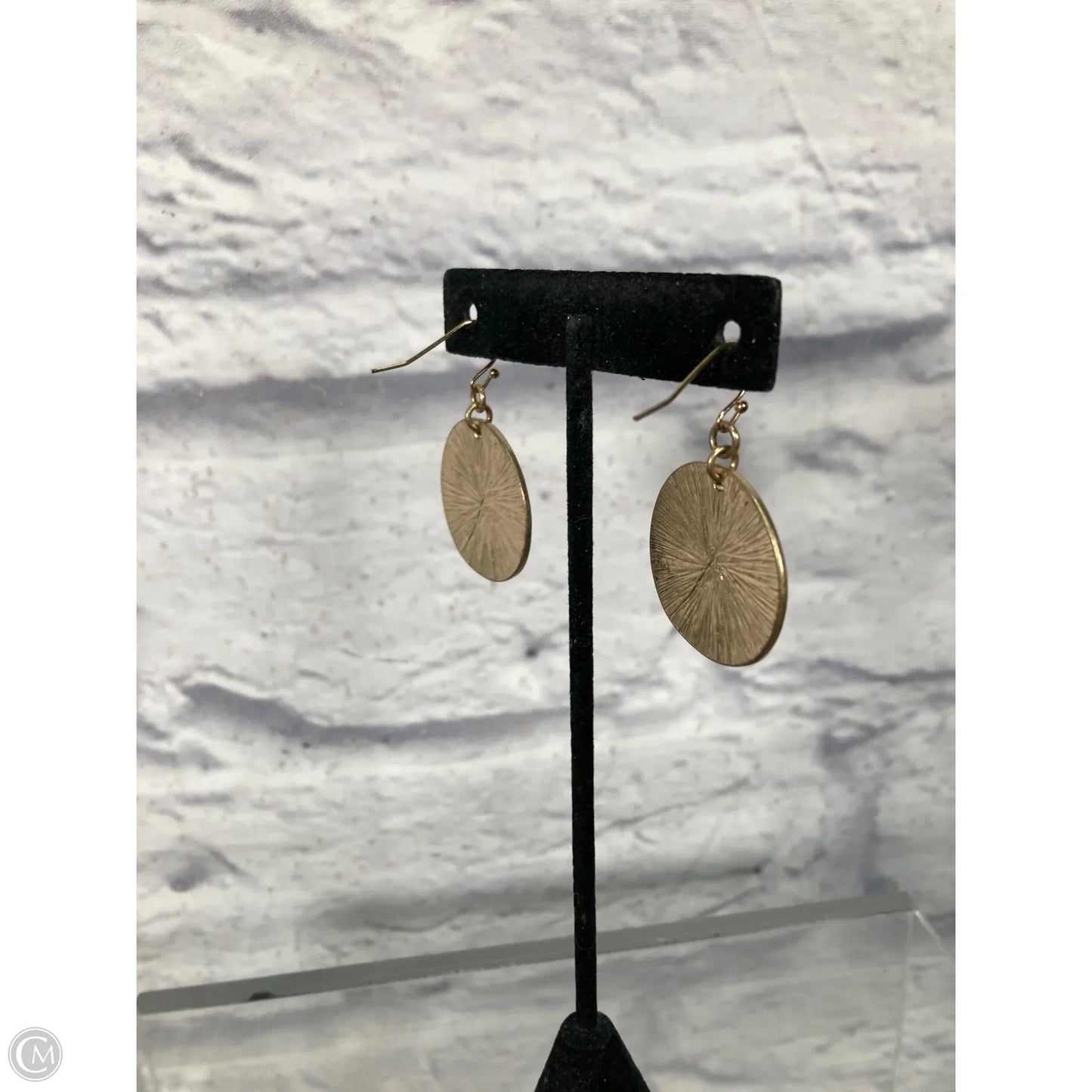 Earrings Dangle/drop By Chicos