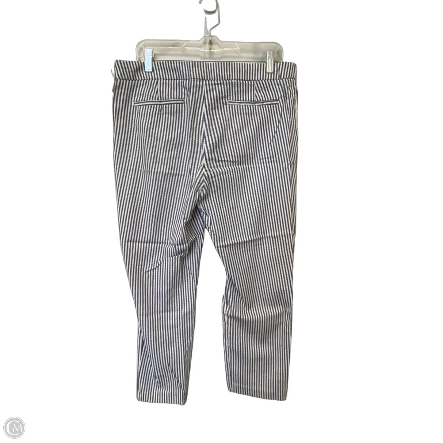 Pants Cropped By Rachel Zoe In Striped Pattern, Size: 14