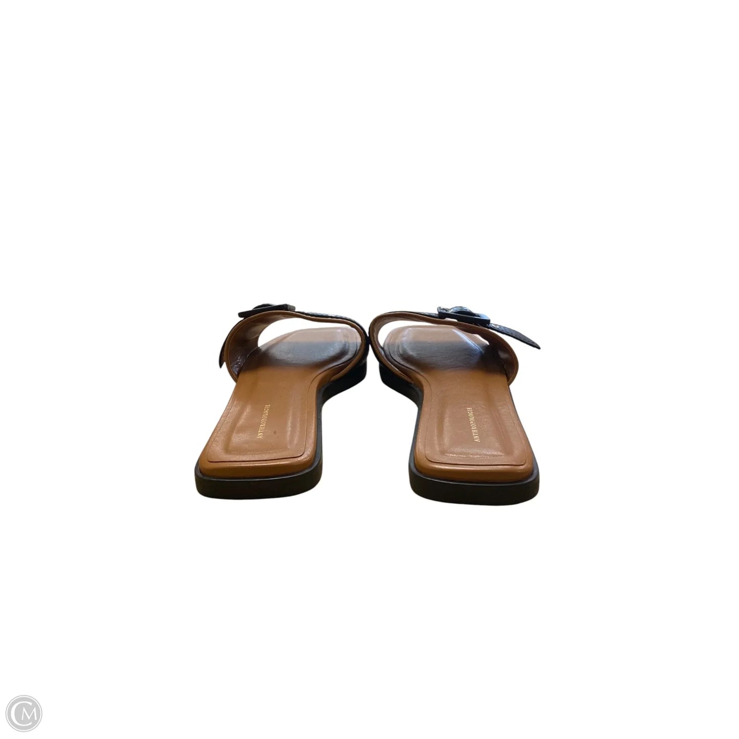 Sandals Flip Flops By Anthropologie In Brown, Size: 6