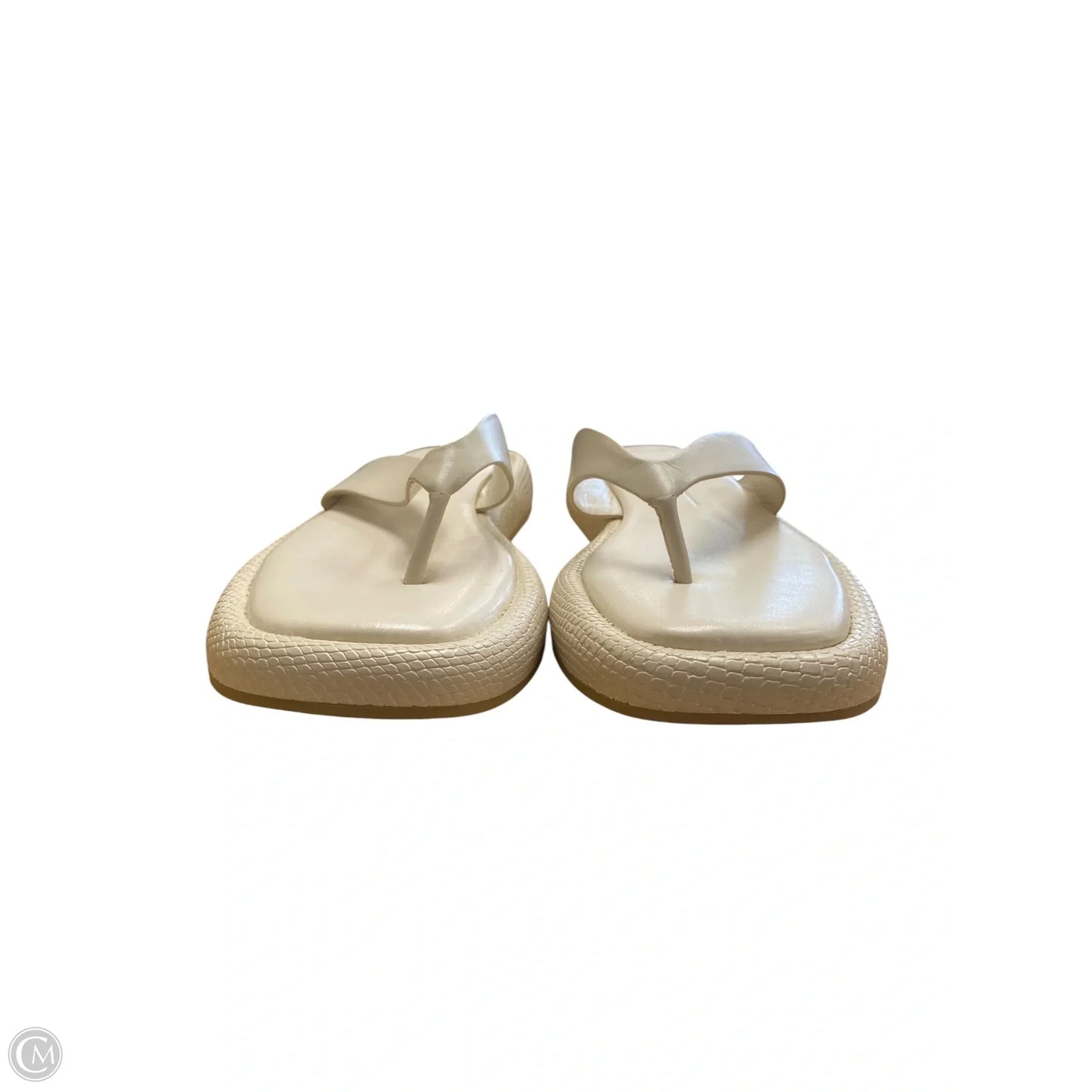 Sandals Flip Flops By Dolce Vita In Cream, Size: 8