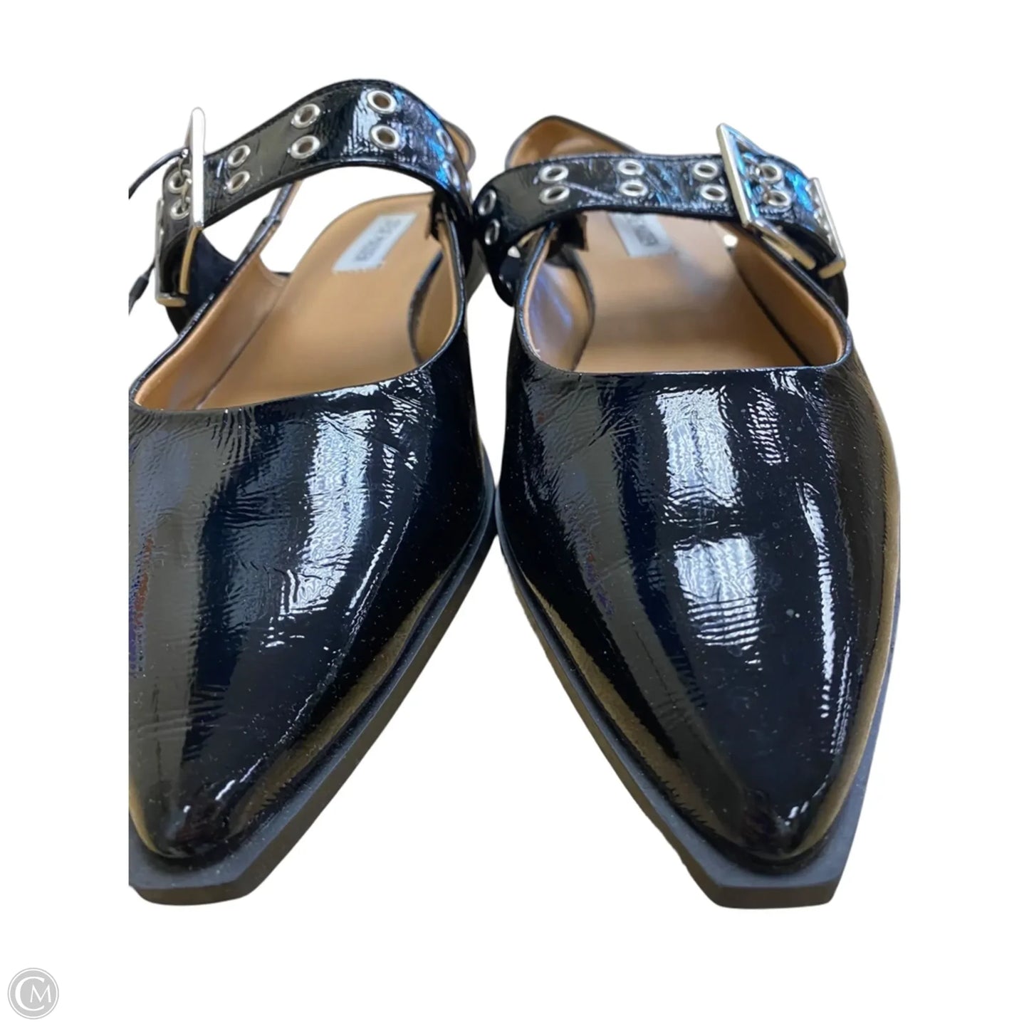 Shoes Flats By Steve Madden In Black, Size: 9.5