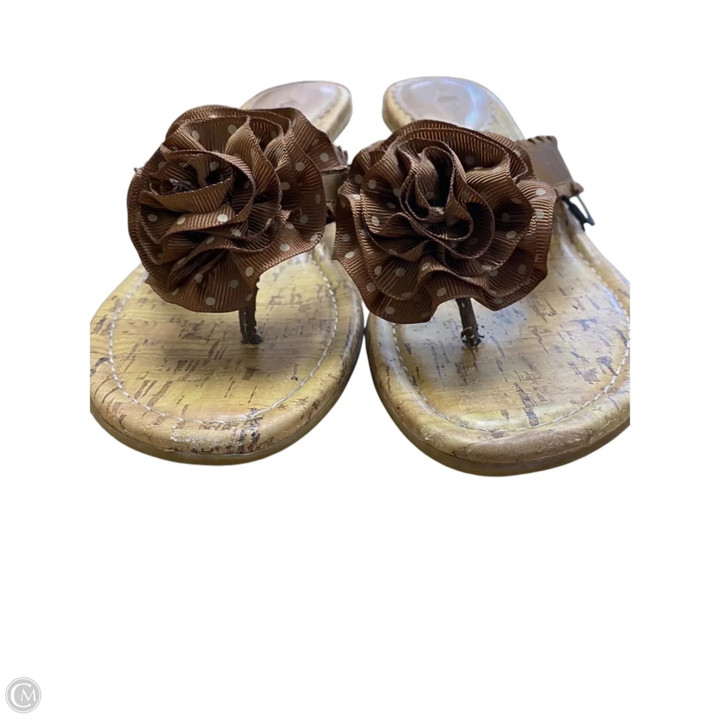 Shoes Heels Kitten By Lindsay Phillips In Brown, Size: 7