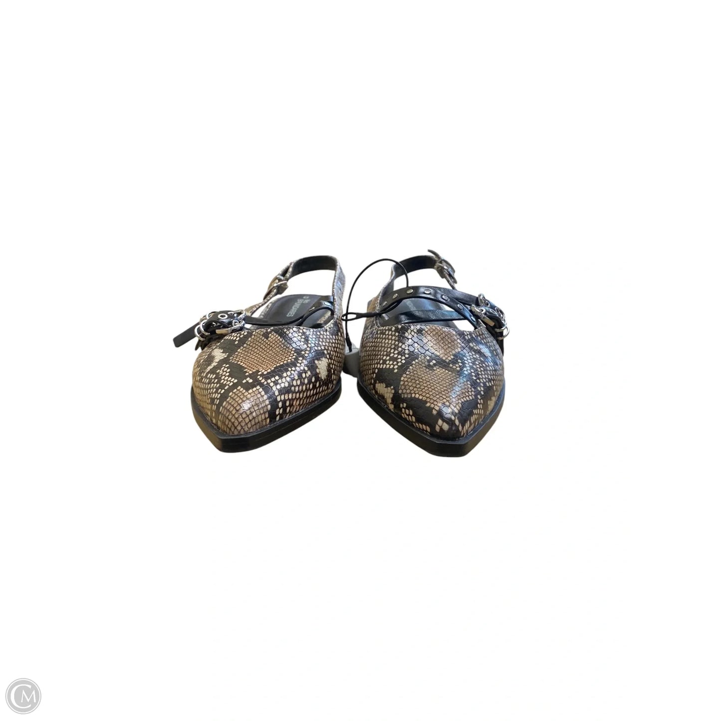 Shoes Flats By No Boundaries In Snakeskin Print, Size: 9