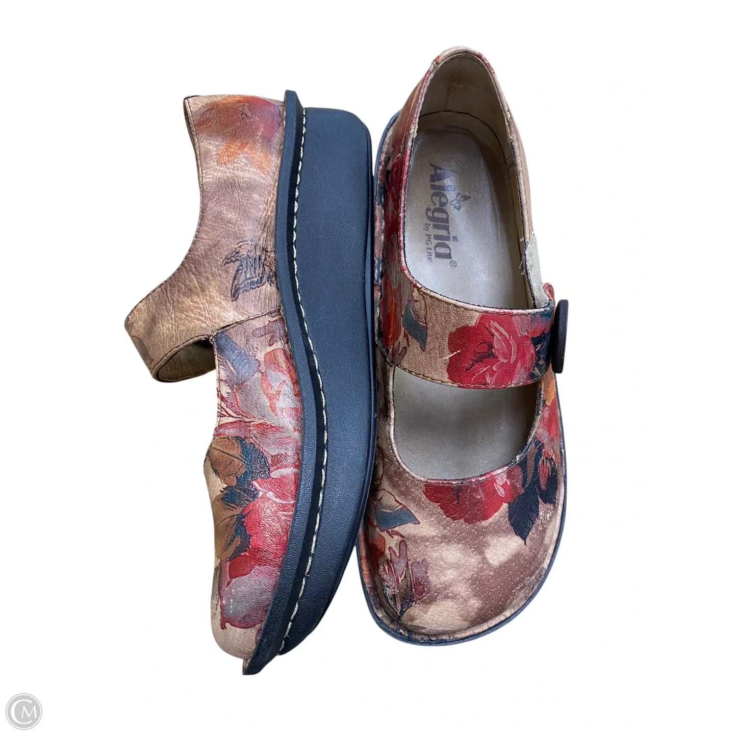 Shoes Flats By Alegria In Floral Print, Size: 8