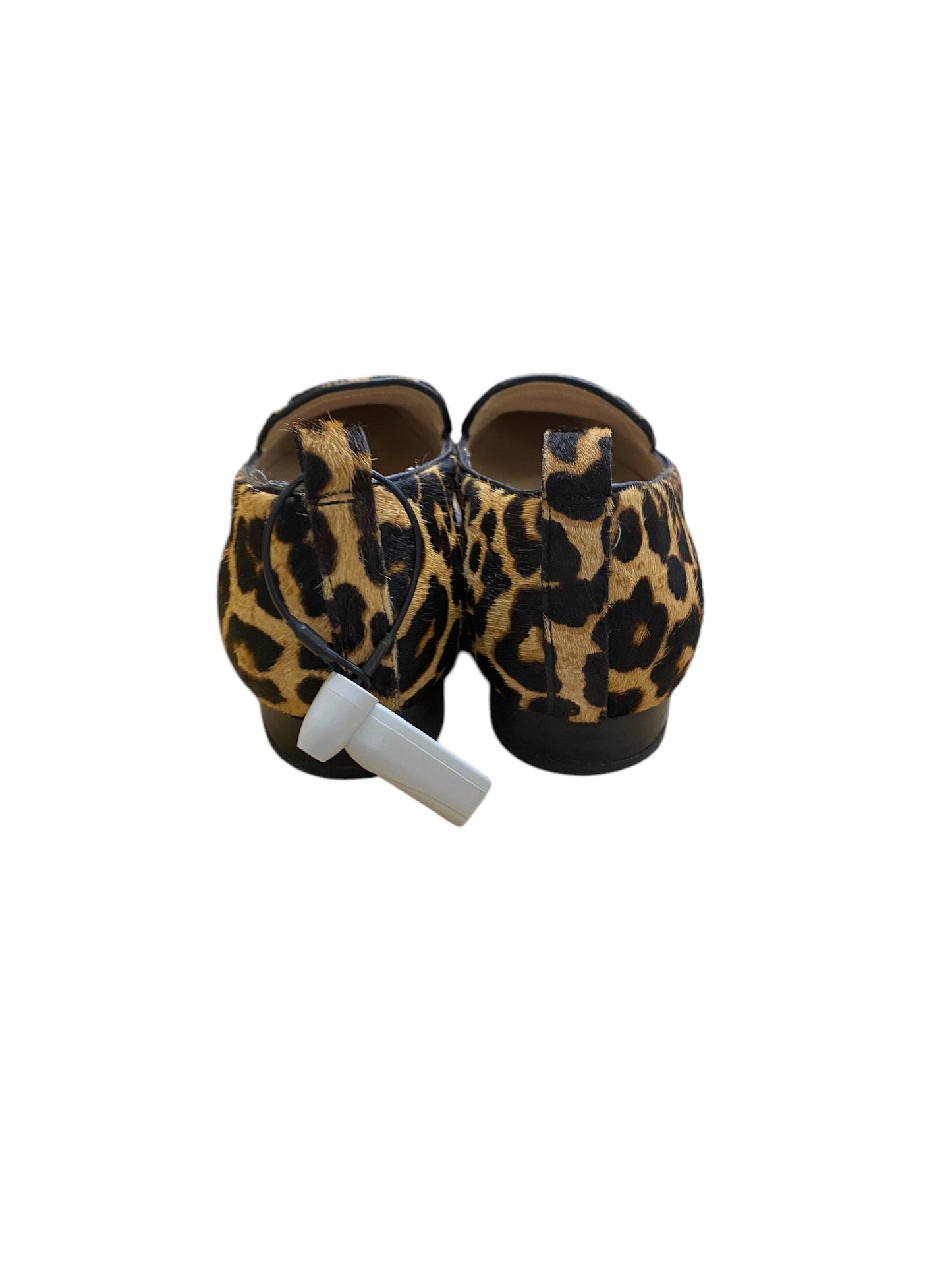 Shoes Flats By Franco Sarto In Animal Print, Size: 7