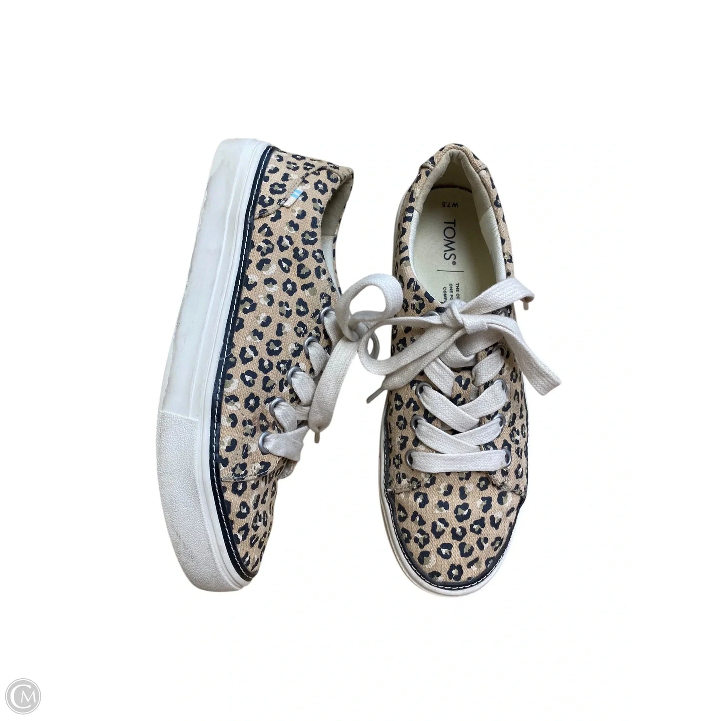 Shoes Sneakers By Toms In Animal Print, Size: 7.5