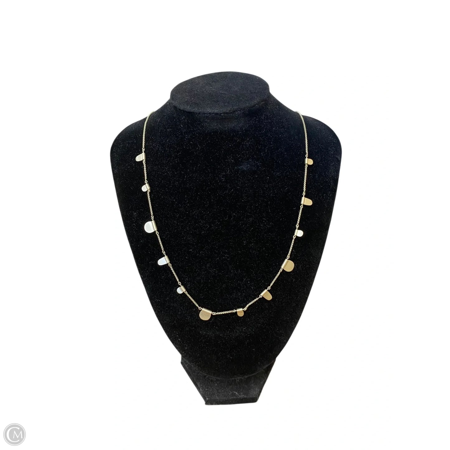 Necklace Chain By Kendra Scott