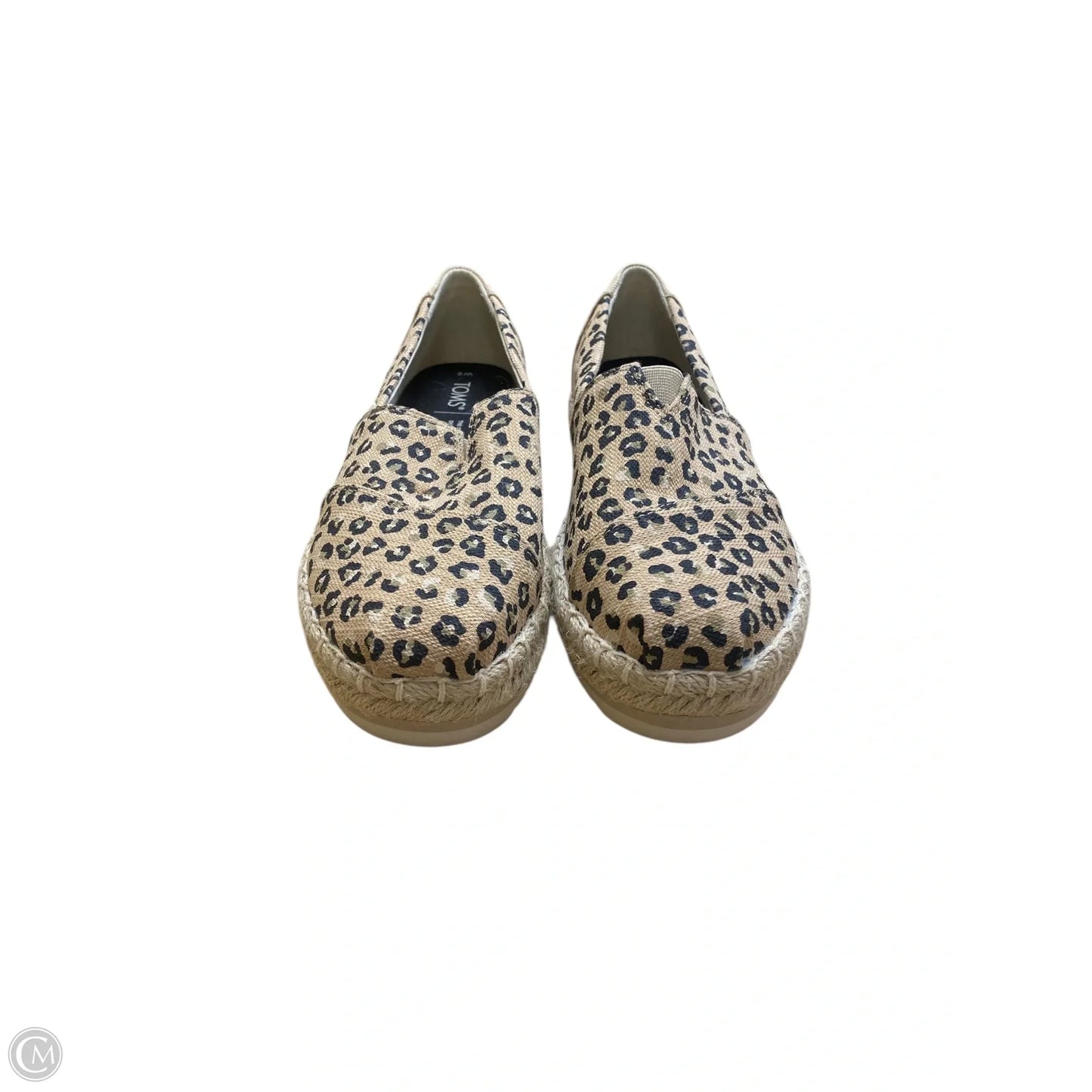 Shoes Flats By Toms In Animal Print, Size: 6