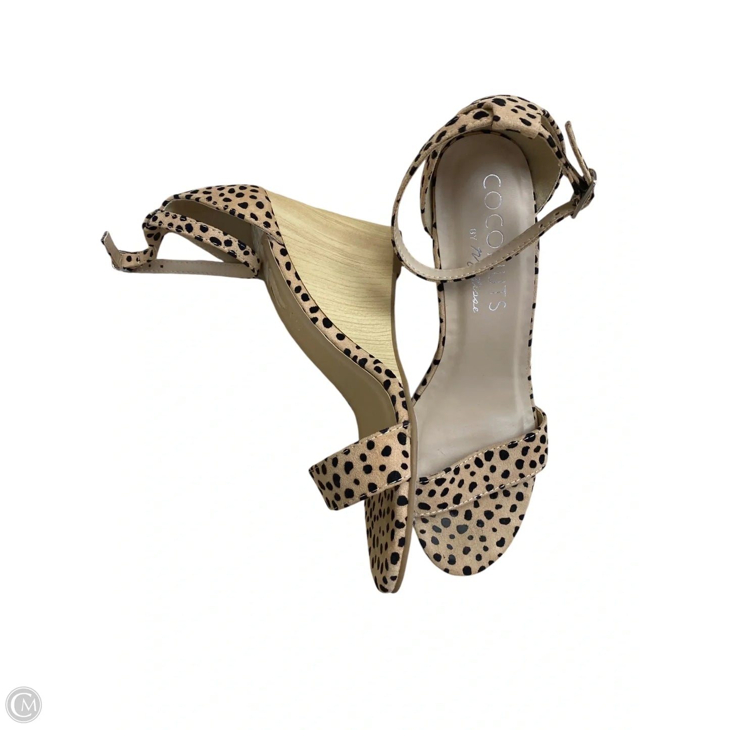 Shoes Heels Block By Coconuts In Animal Print, Size: 8