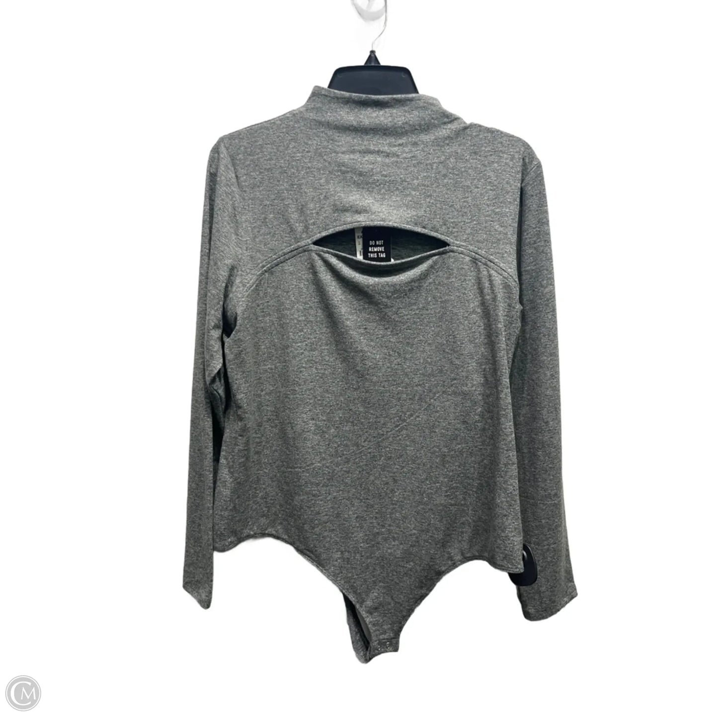 Bodysuit By Express In Grey, Size: Xl