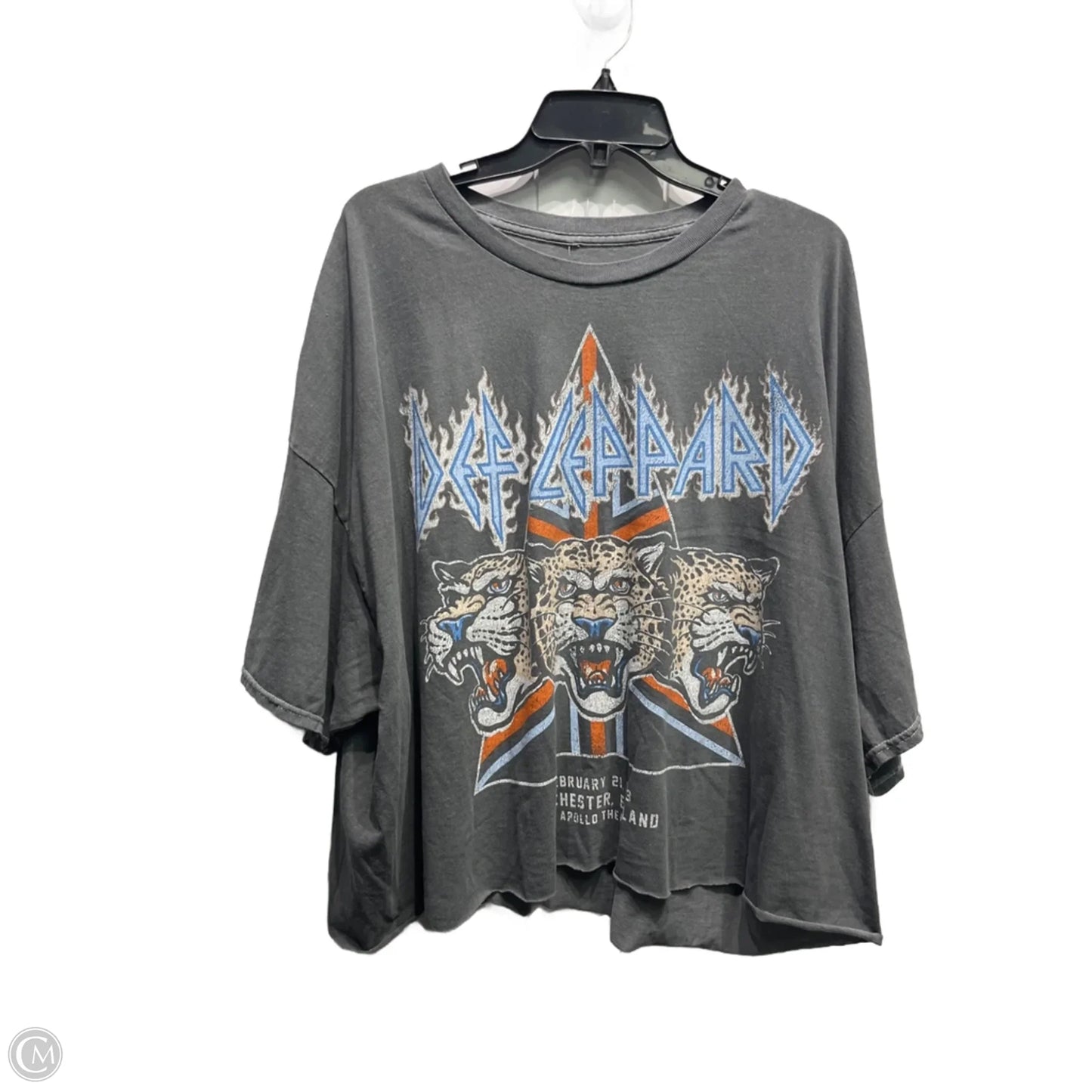 Top Short Sleeve By Arula In Grey, Size: 3x