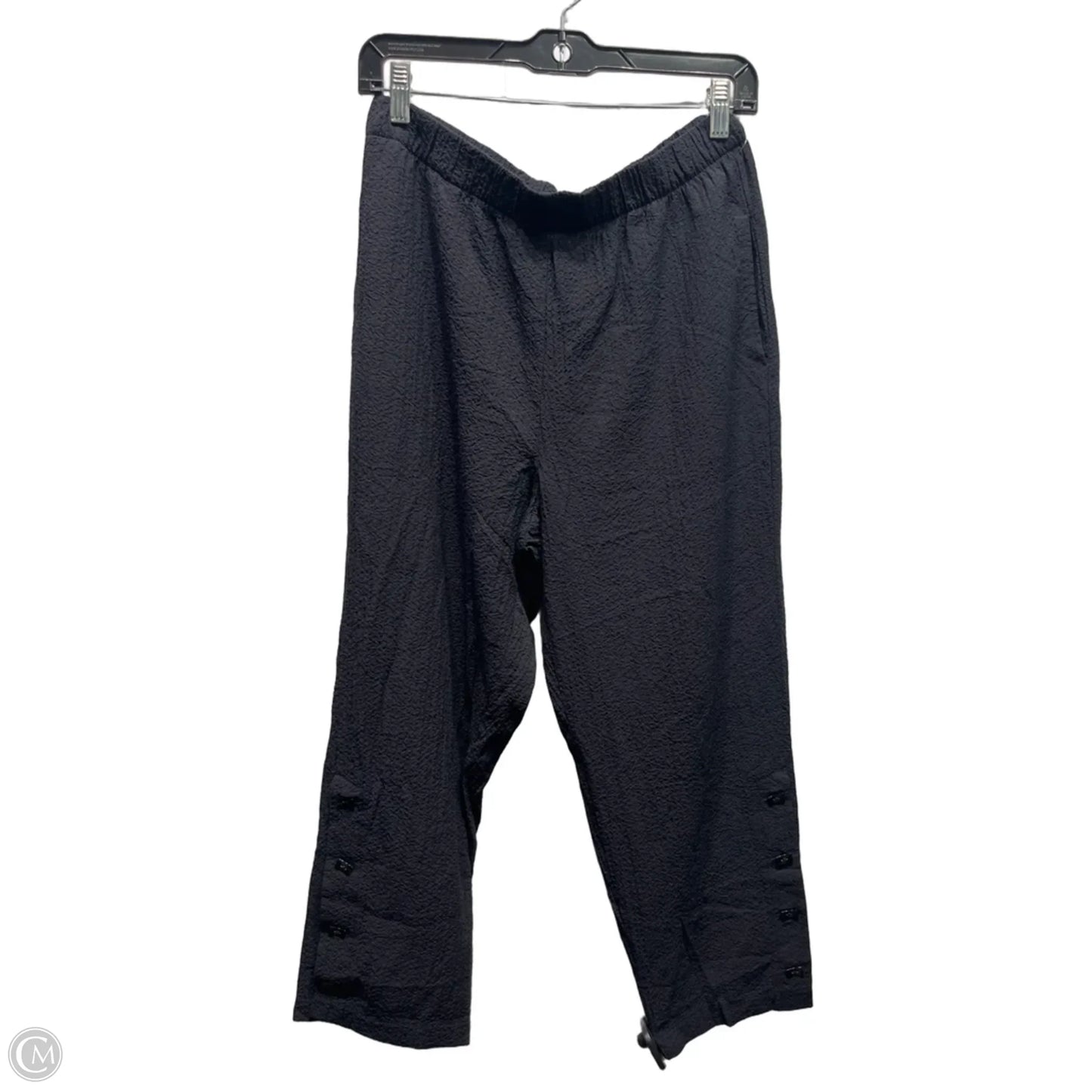 Pants Other By Habitat In Black, Size: S