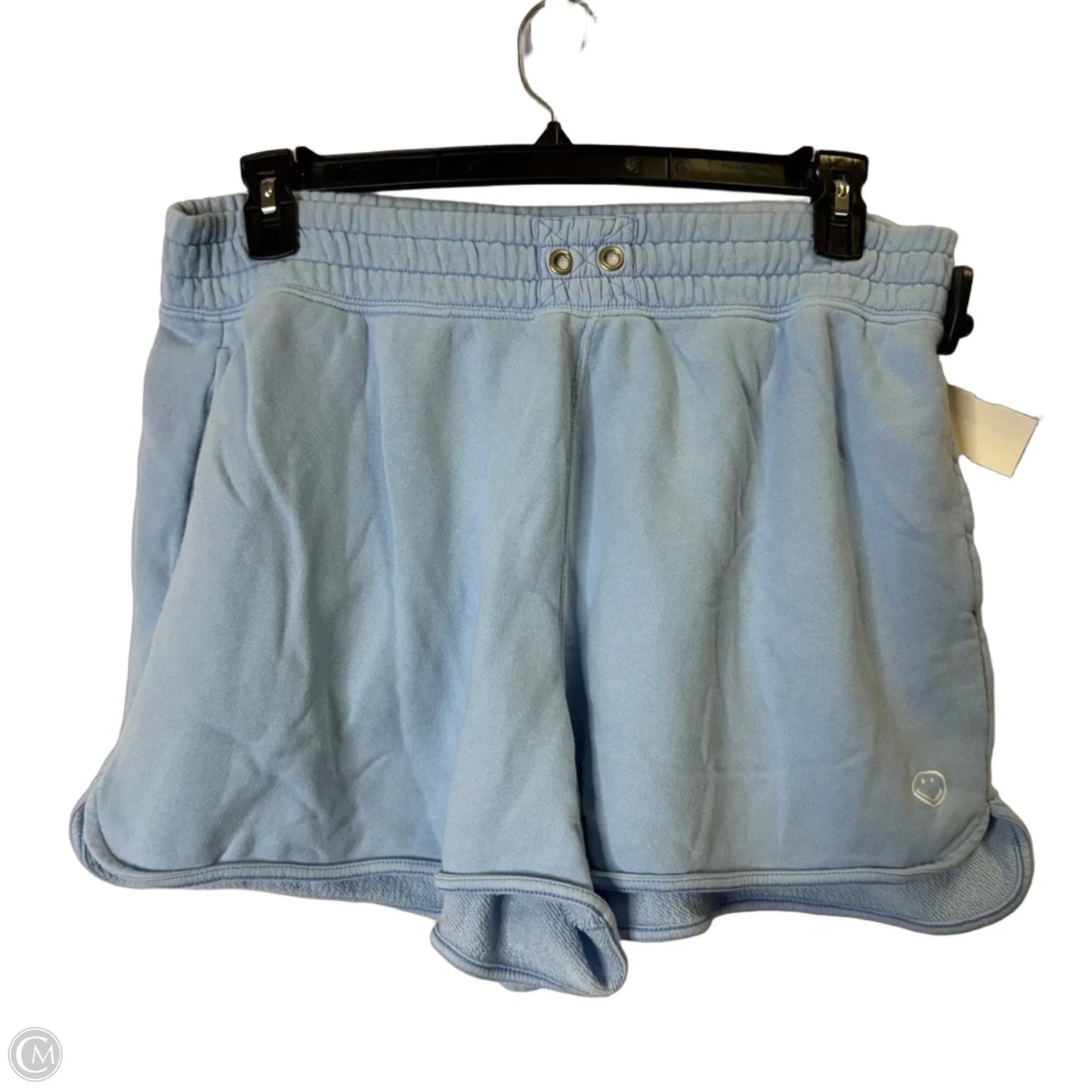 Shorts By Aerie In Blue, Size: L