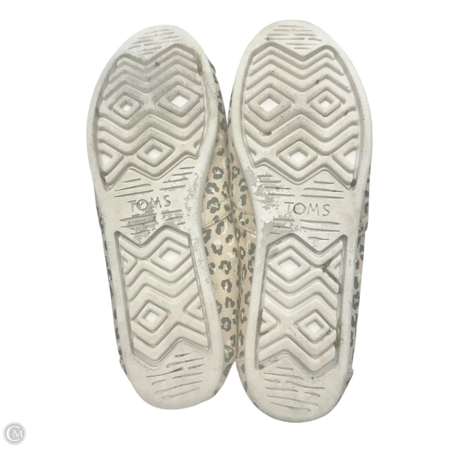 Shoes Flats By Toms In Animal Print, Size: 8