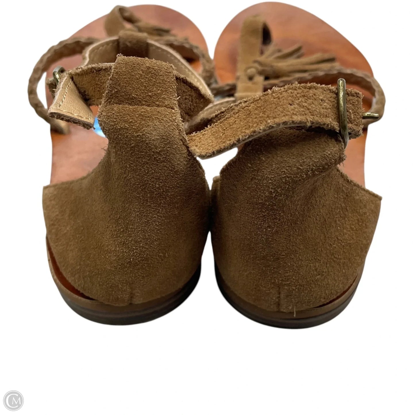 Sandals Flip Flops By Lucky Brand In Tan, Size: 6.5