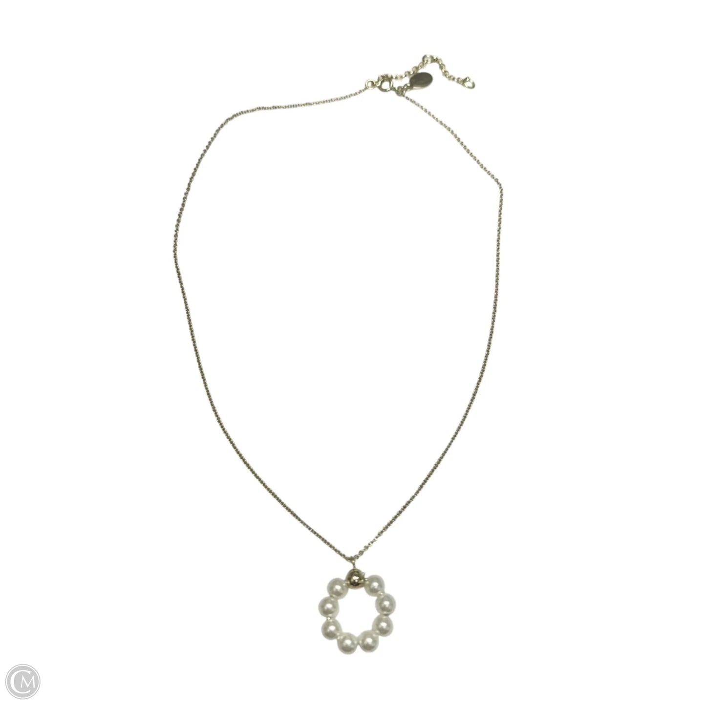 Necklace Chain By Loft