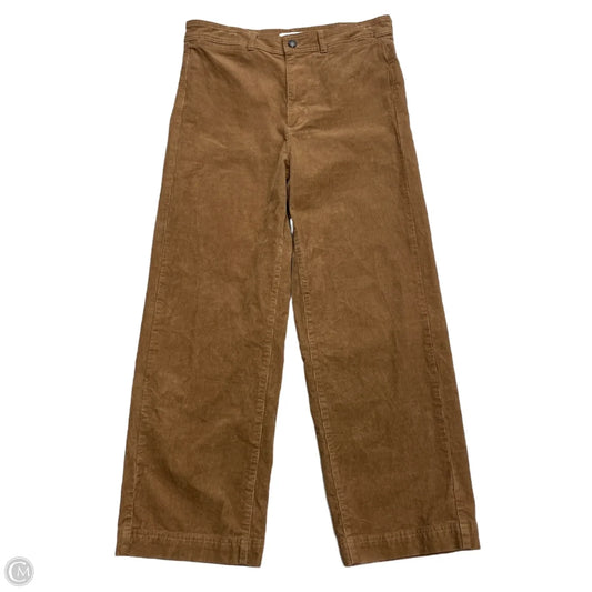 Pants Corduroy By Everlane In Tan, Size: 12