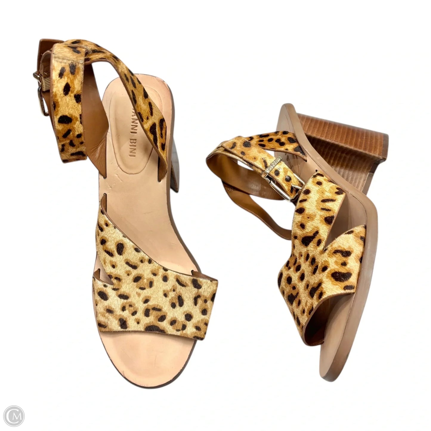 Sandals Heels Block By Giani Bernini In Leopard Print, Size: 8