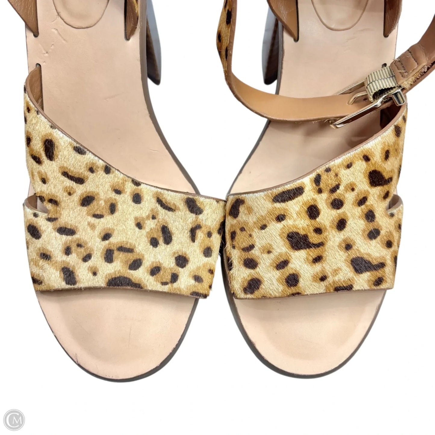 Sandals Heels Block By Giani Bernini In Leopard Print, Size: 8