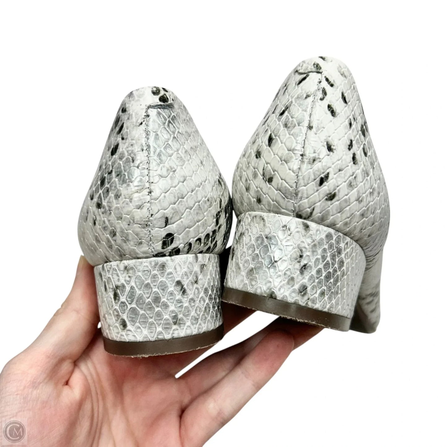 Shoes Heels Block By Wirth In Snakeskin Print, Size: 5.5
