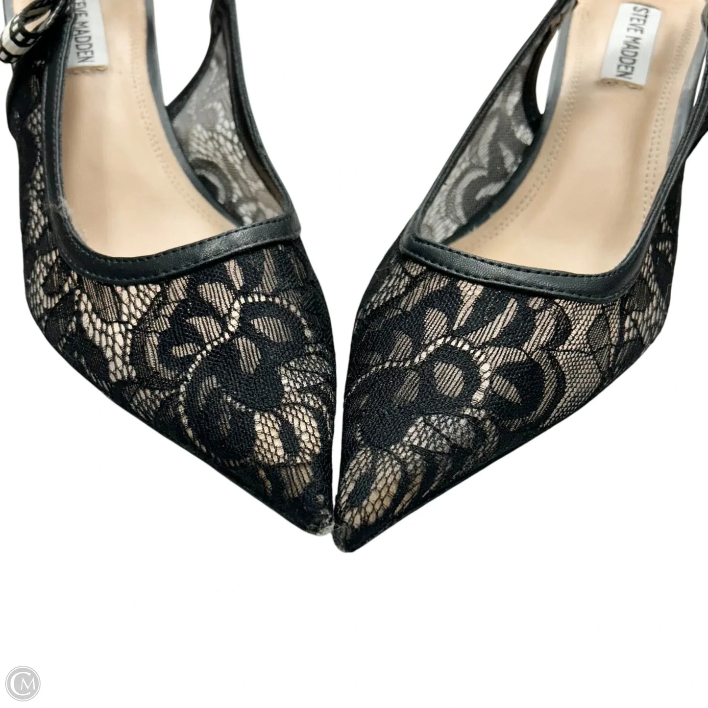 Shoes Heels Kitten By Steve Madden In Black, Size: 8.5