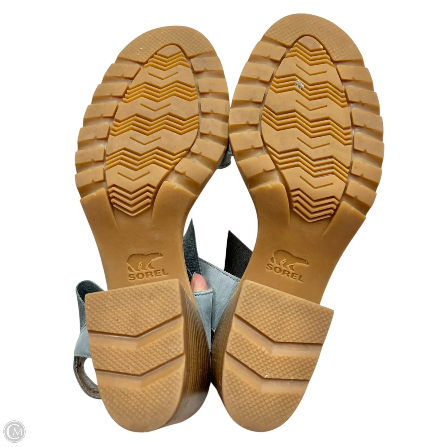 Sandals Sport By Sorel In Blue & Brown, Size: 8