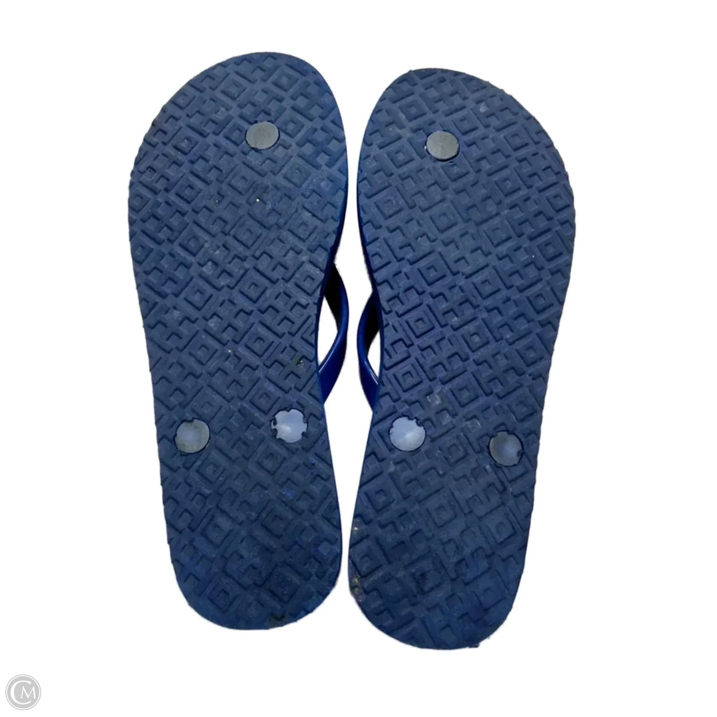 Sandals Designer By Tory Burch In Floral Print, Size: 5