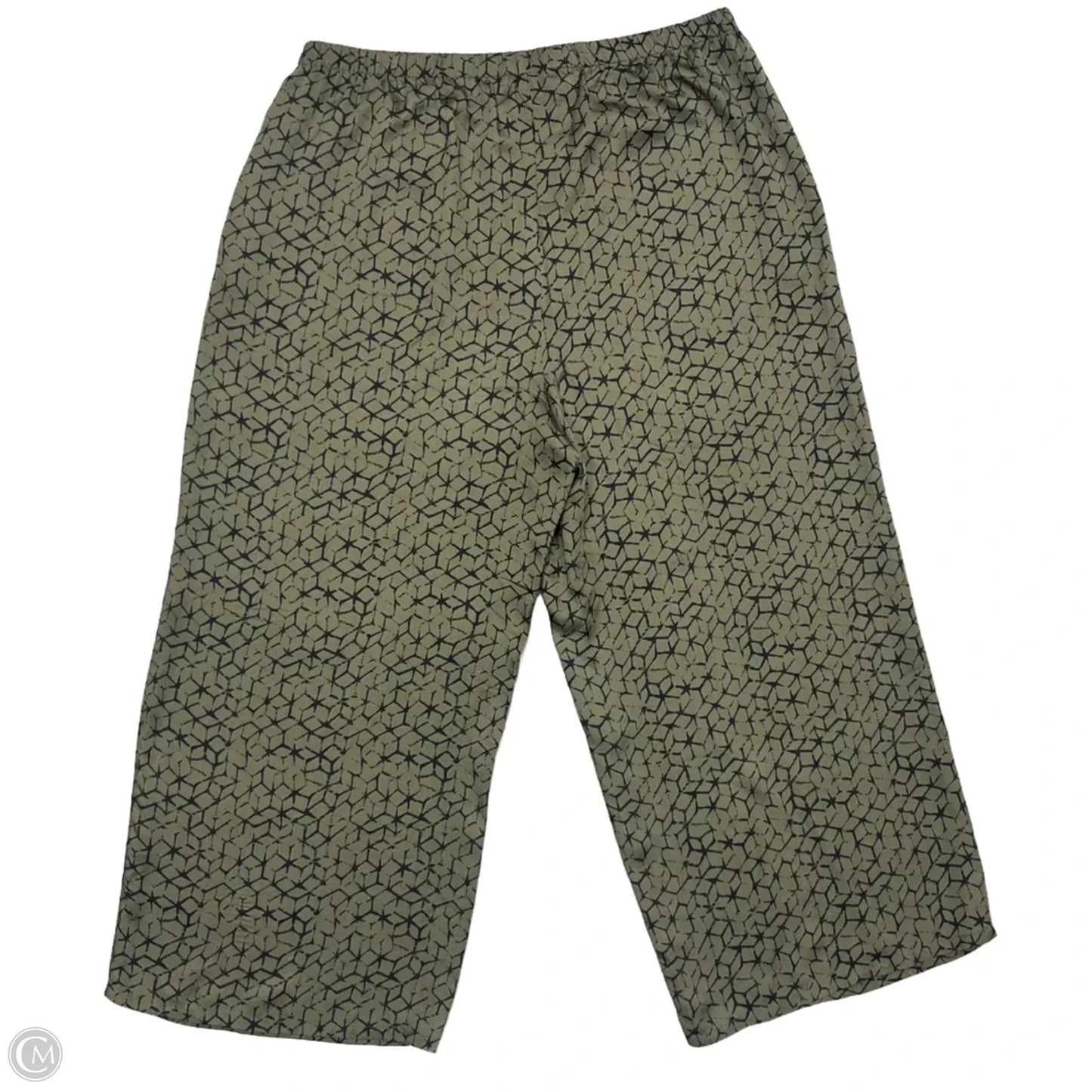 Pants Wide Leg By Eileen Fisher In Black & Green, Size: L