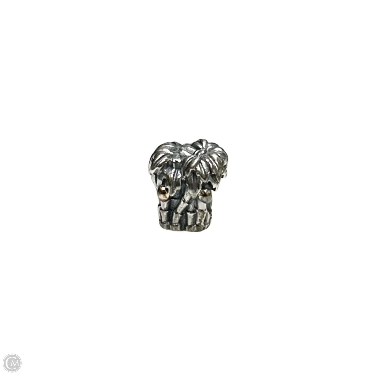 Jewelry Charm By Pandora