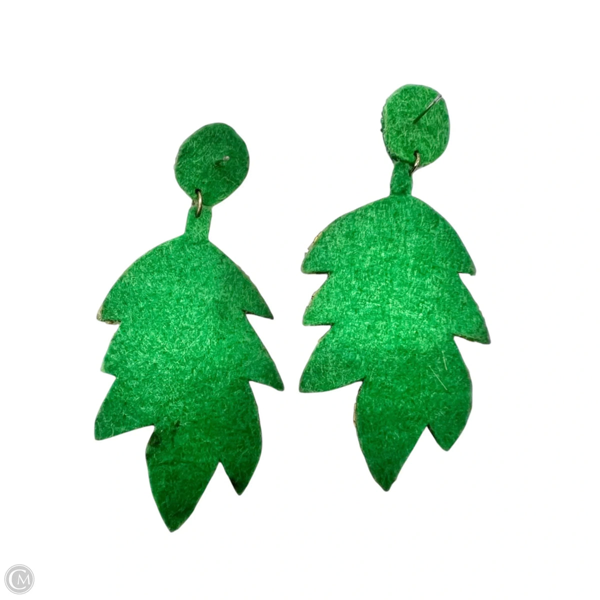 Earrings Dangle/drop