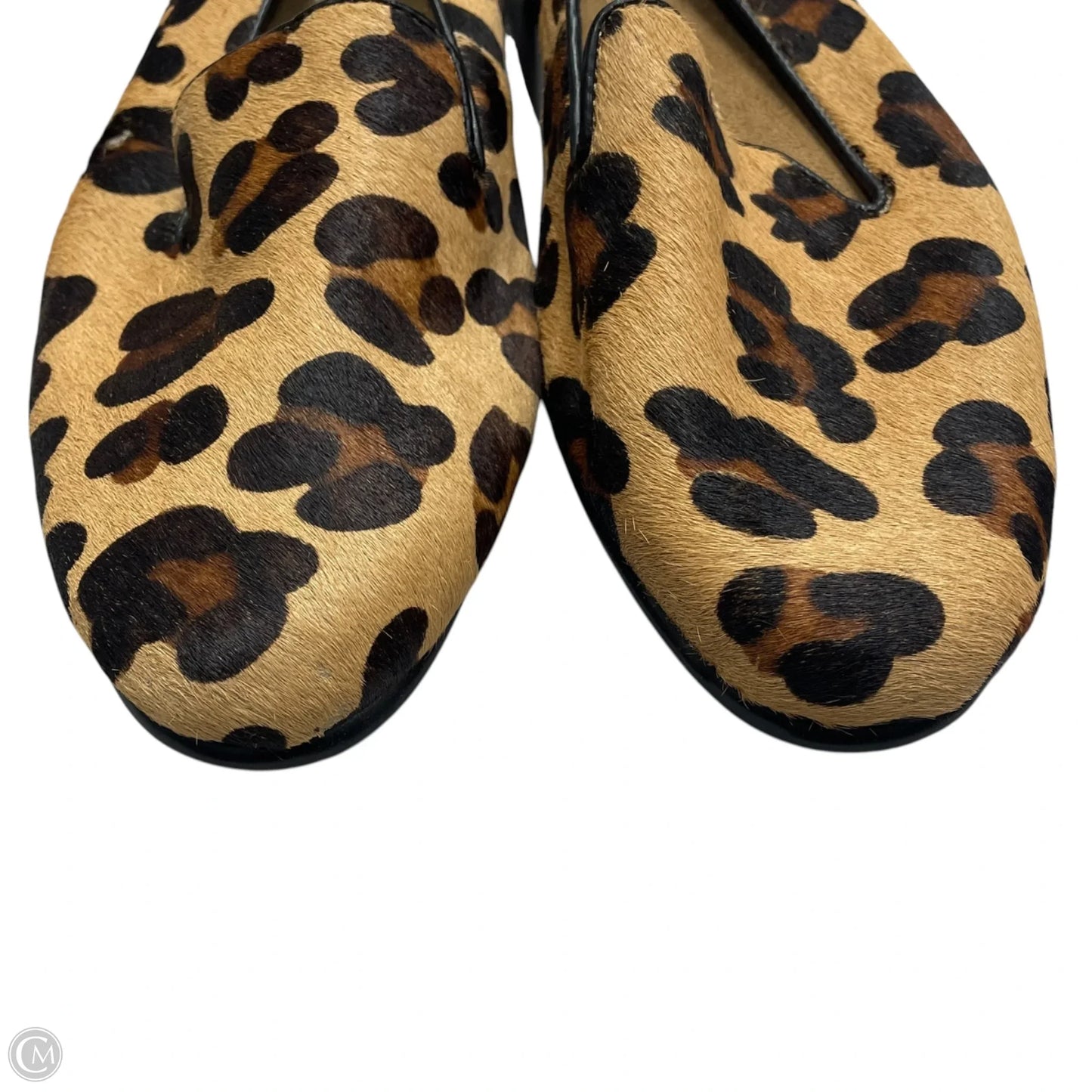 Shoes Sneakers By Skechers In Animal Print, Size: 9.5