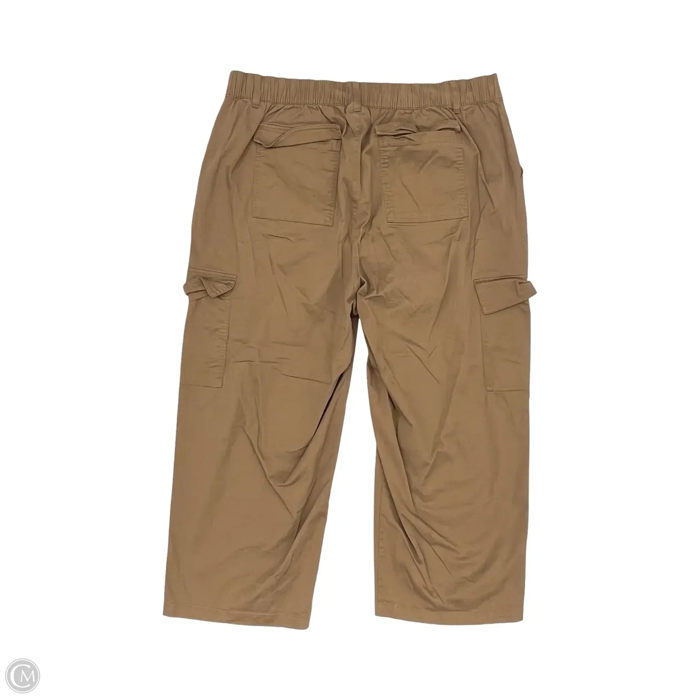Pants Cargo & Utility By Ava & Viv In Brown, Size: 2x