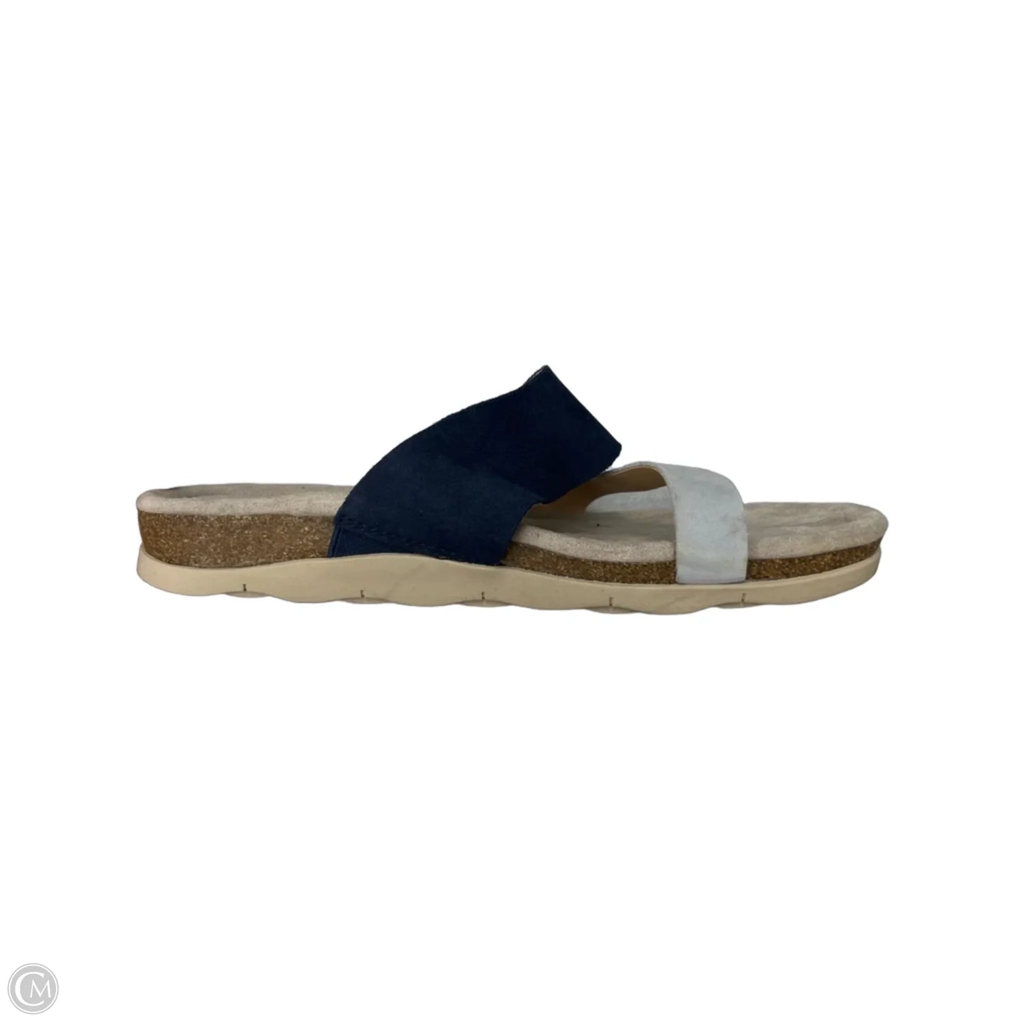 Sandals Flats By Earth In Blue & Grey, Size: 9