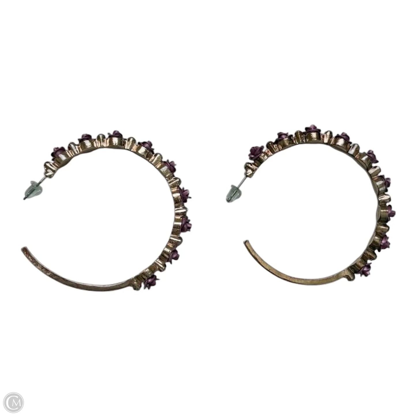 Earrings Hoop By Clothes Mentor