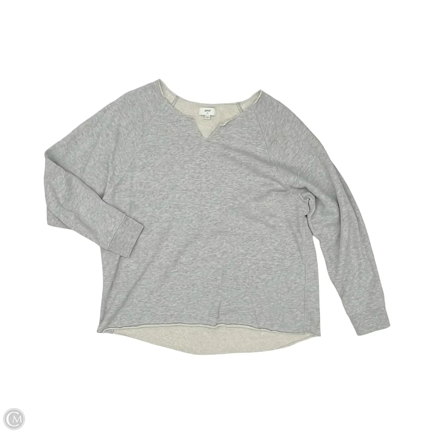 Sweatshirt Crewneck By Aerie In Grey, Size: L