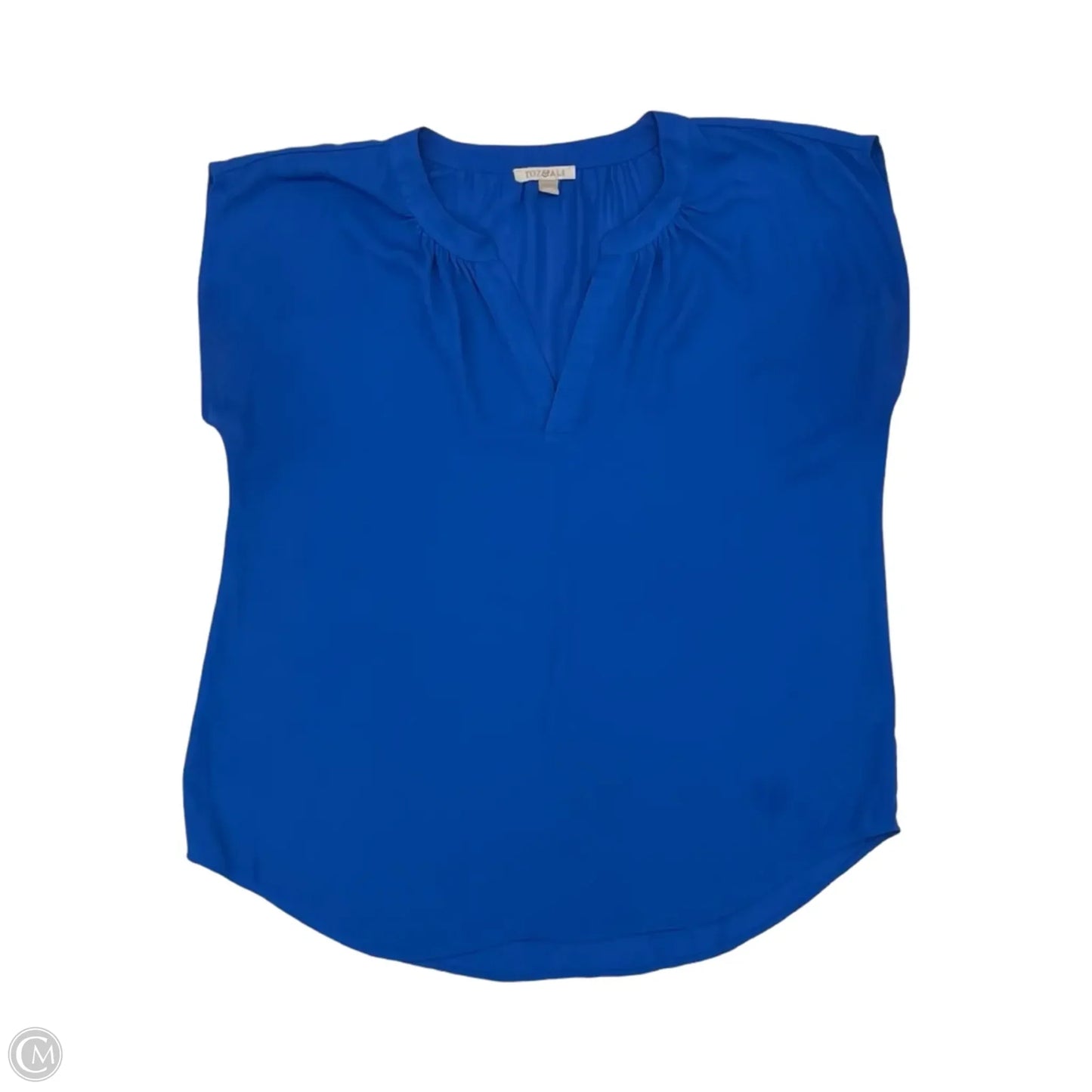 Blouse Short Sleeve By Roz And Ali In Blue, Size: 1x