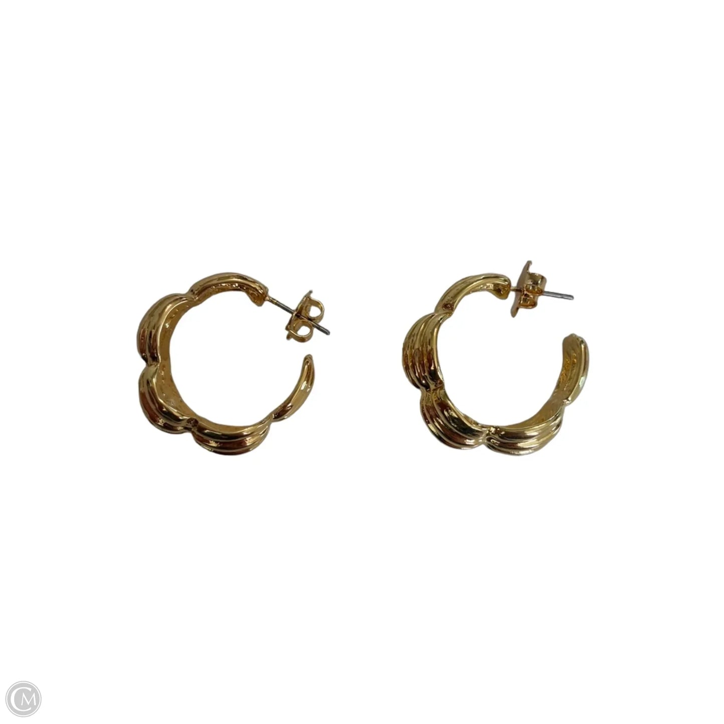 Earrings Hoop By Clothes Mentor