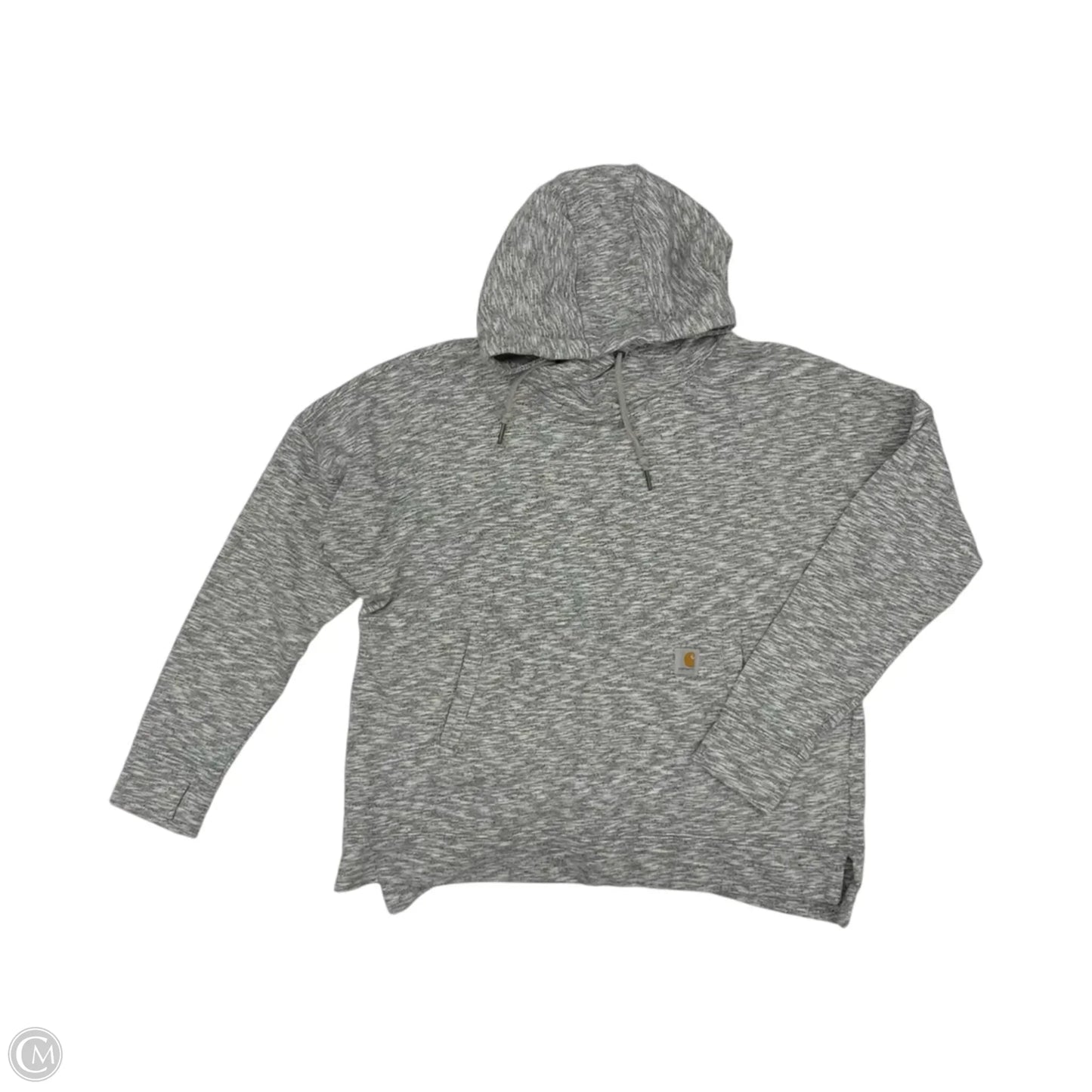 Sweatshirt Hoodie By Carhartt In Grey, Size: L