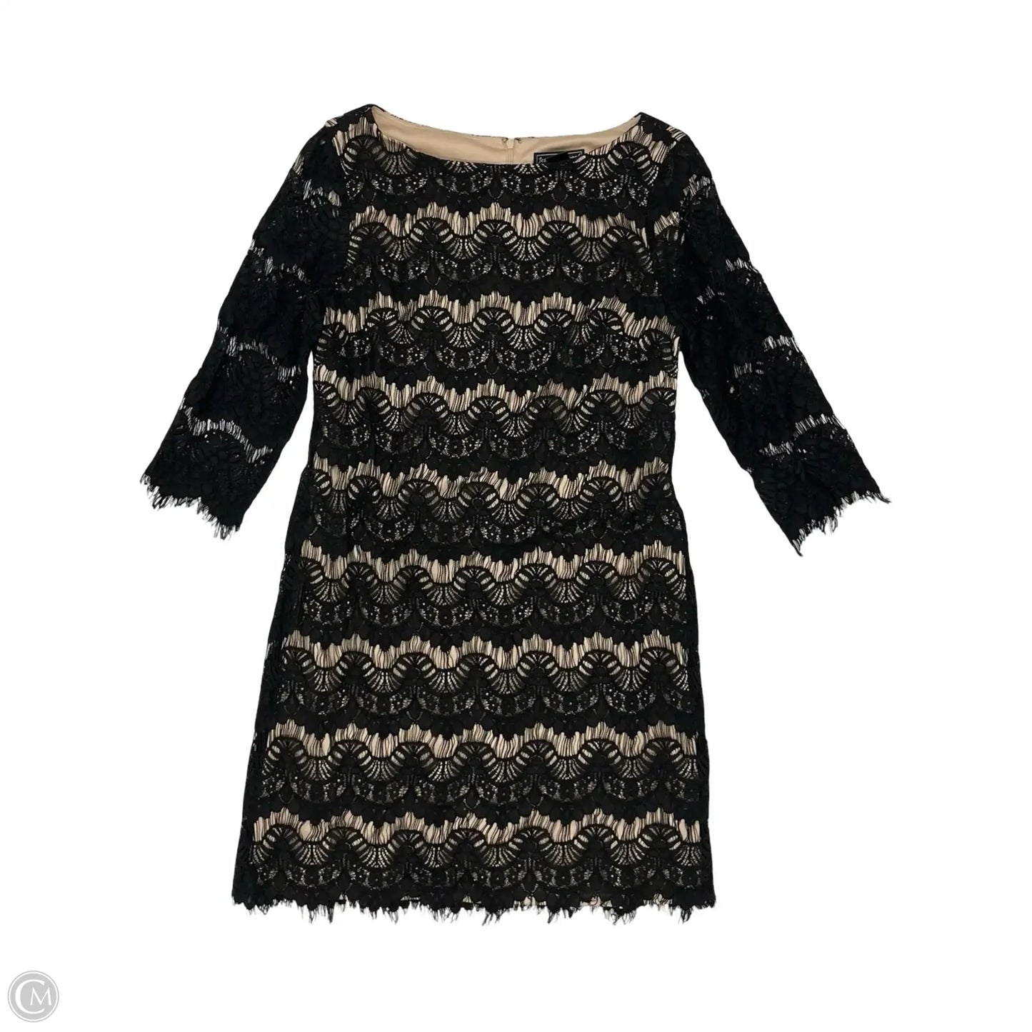 Dress Casual Short By Jessica Howard In Black & Tan, Size: 8