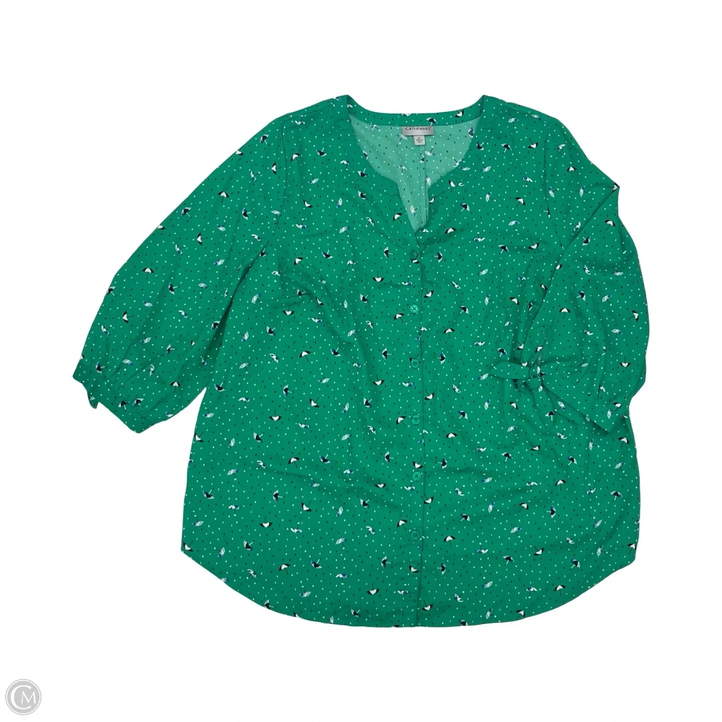 Blouse Long Sleeve By Catherines In Green, Size: Xl