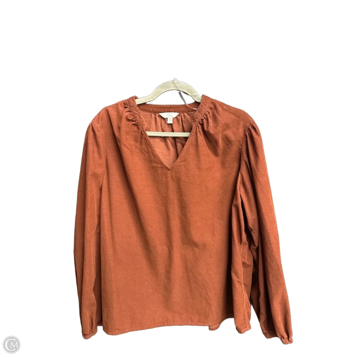 Top Long Sleeve By Time And Tru In Brown, Size: Xl