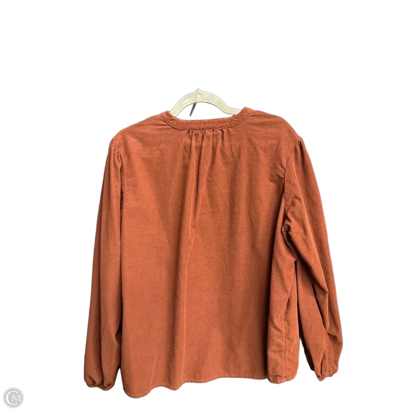 Top Long Sleeve By Time And Tru In Brown, Size: Xl