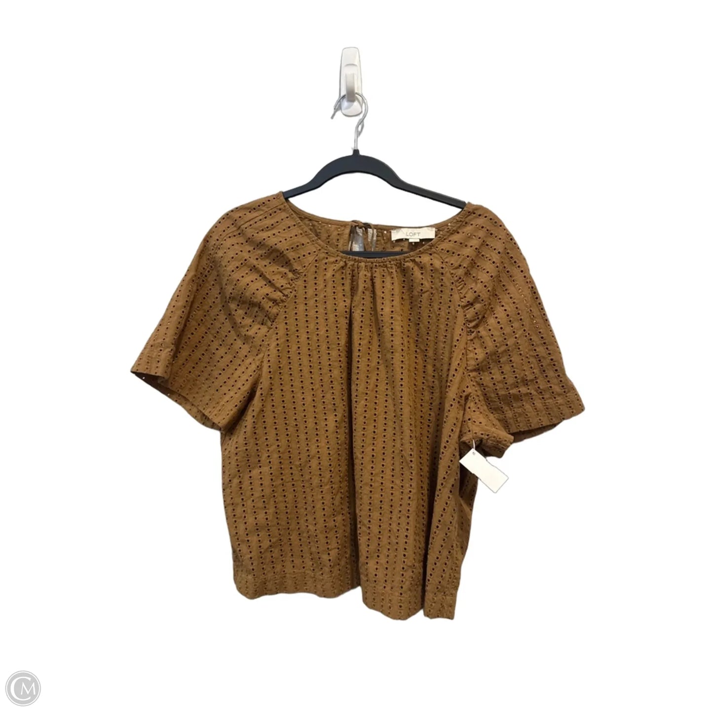 Blouse Short Sleeve By Loft In Brown, Size: L